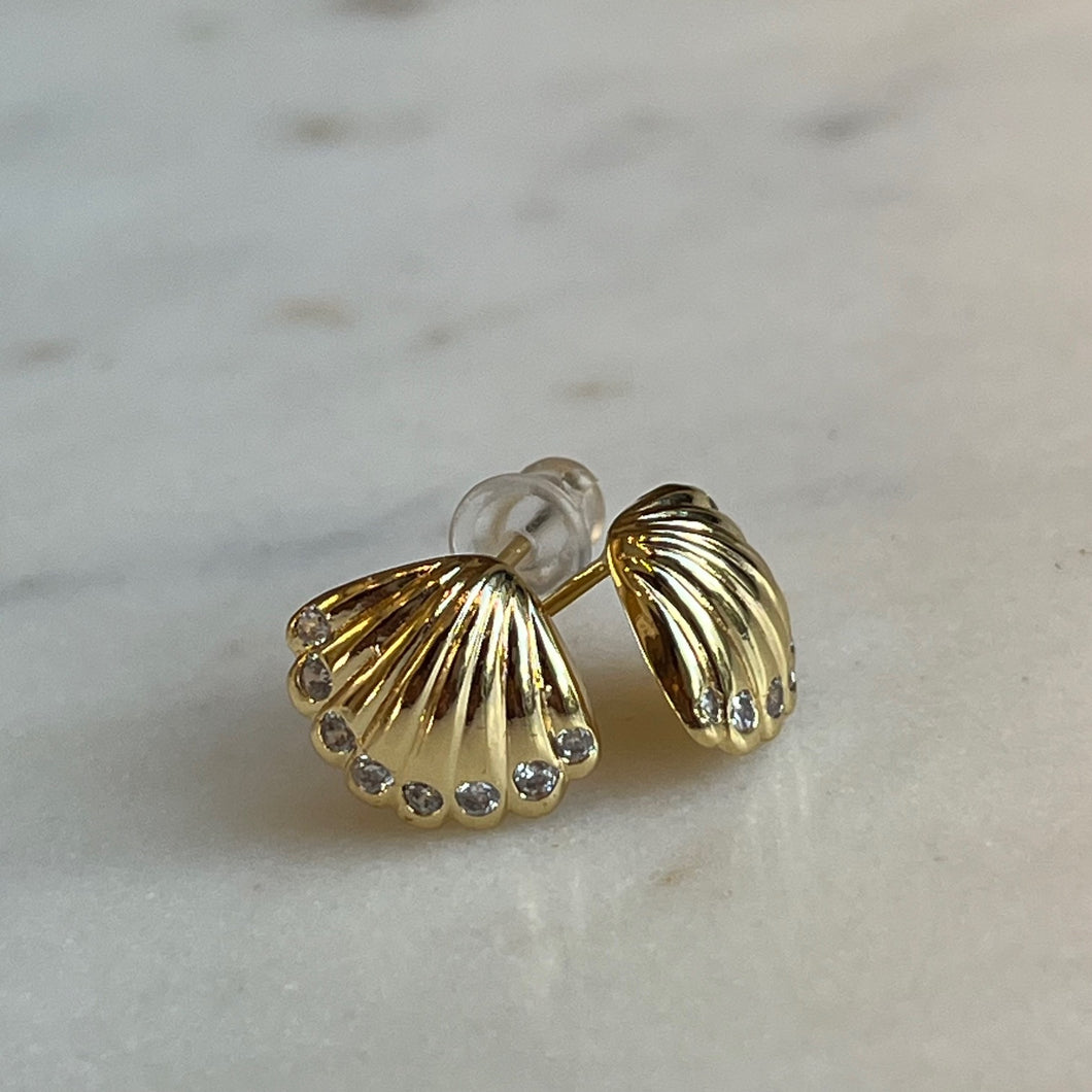 Clam Shell Studs